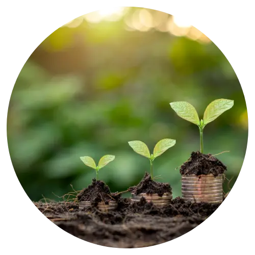 Grow business