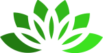 kd accounting solutions lily-green